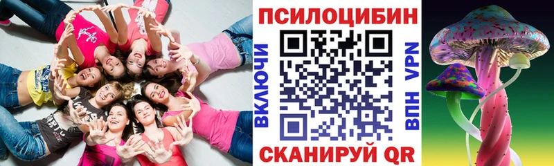 хочу   Кириллов  Галлюциногенные грибы Magic Shrooms 